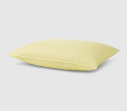 Nysoft® Pillows offer antimicrobial comfort with this breathable patient pillow. This hospital pillow has high-quality ticking and is built to withstand the rigors of healthcare.